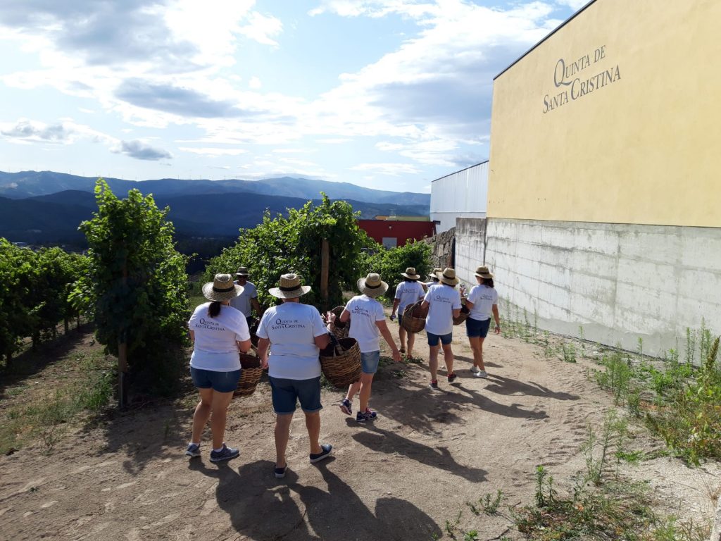 Quinta de Santa Cristina Enoturismo